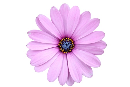 图片[5]-Video 2: What is your name?-tlass.com